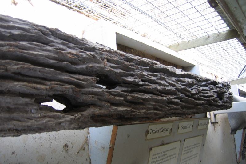 Sleeper damaged by termites