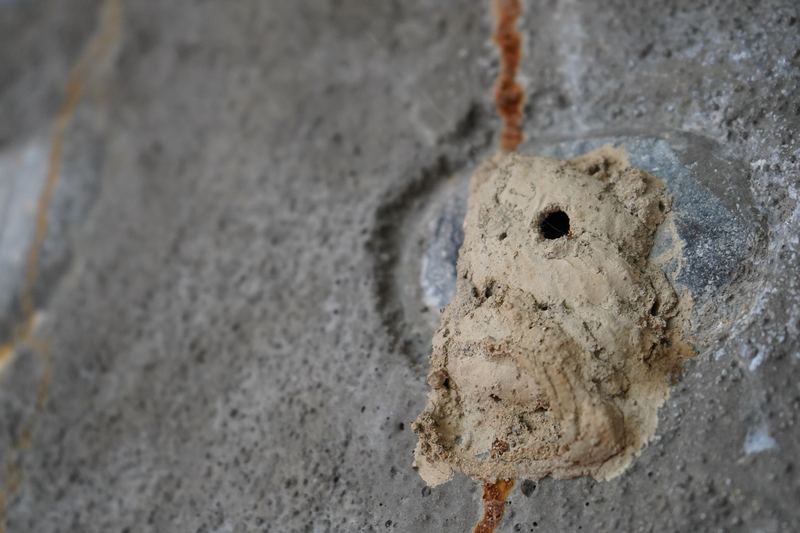 Wasp House in Bulusan Sorsogon